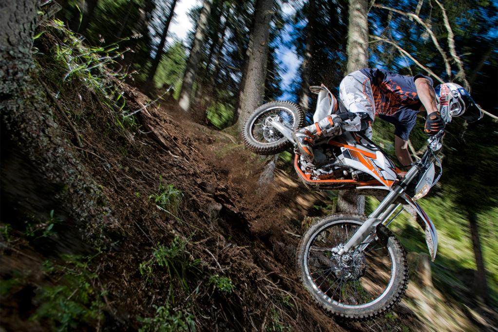 Fahrbericht: KTM Freeride 350