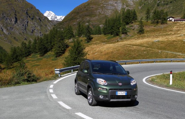 Fiat Panda - Nachwuchs im Bärengehege