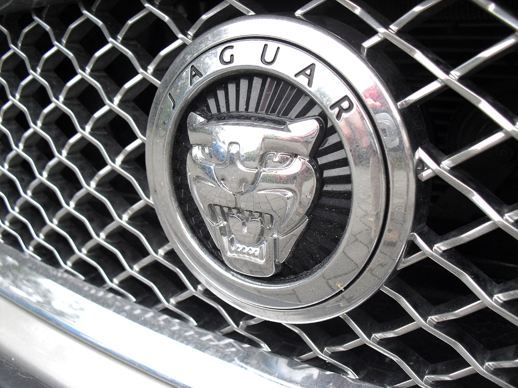 Jaguar XK Cabrio: Das Markenlogo sitzt vorn im Gitter-Kühlergrill. 