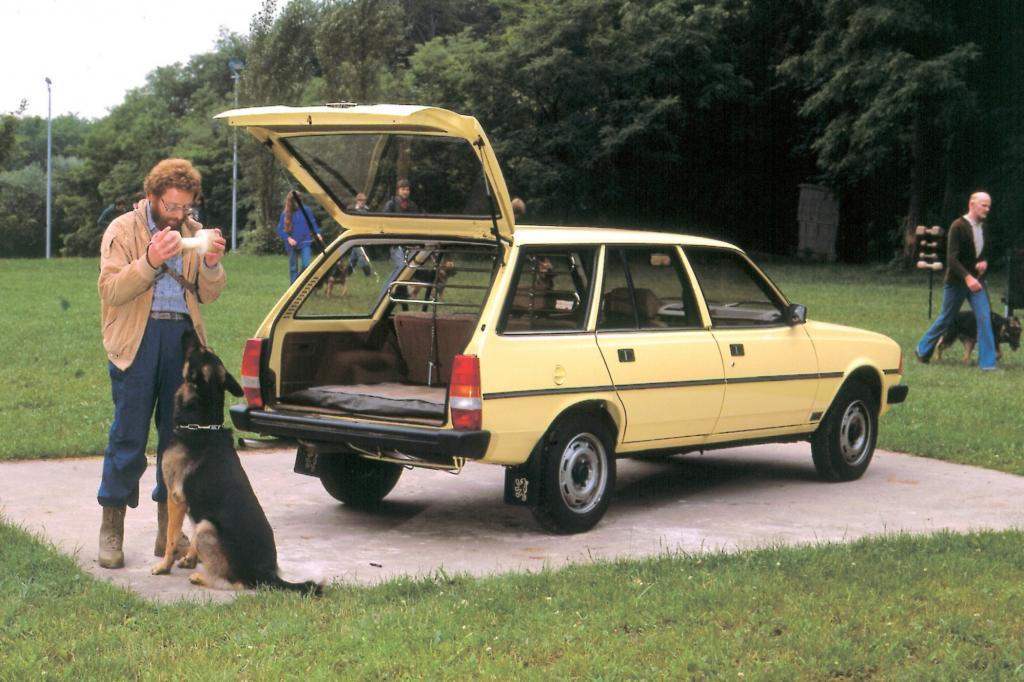Peugeot 305 Break ab 1980
