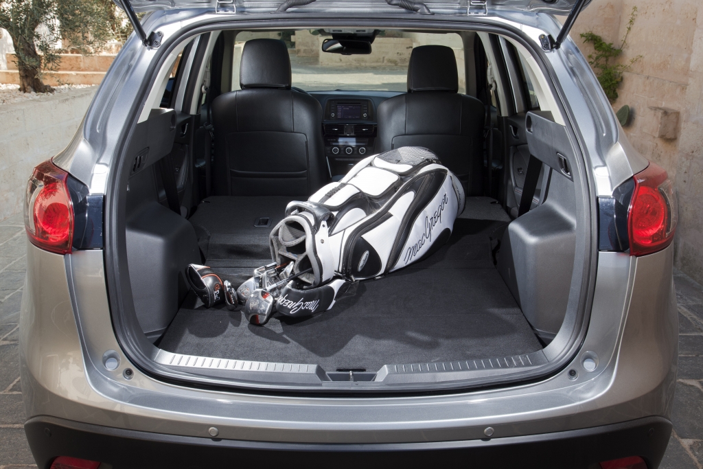 Vergleich Kompakt-SUV - Ein bisschen Premium