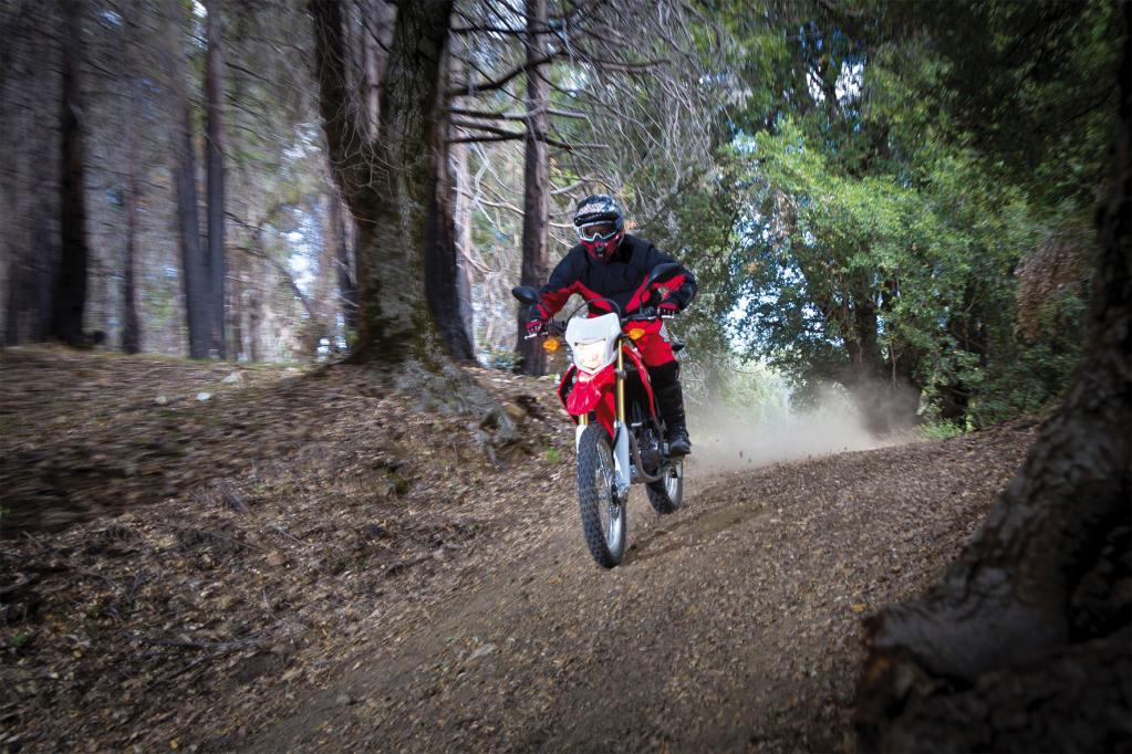 Honda CRF250L: Braver Ableger des Bond-Bikes