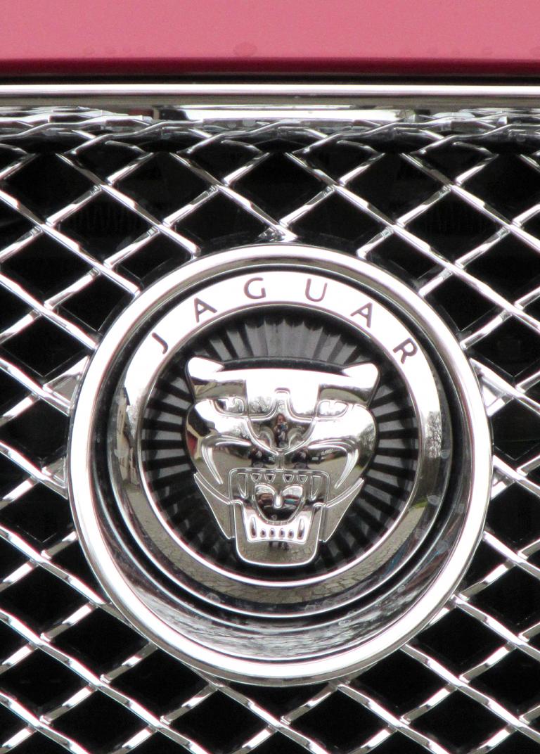 Jaguar XF Sportbrake: Das Markenlogo sitzt vorn im wabenförmigen Gitter-Kühlergrill. 