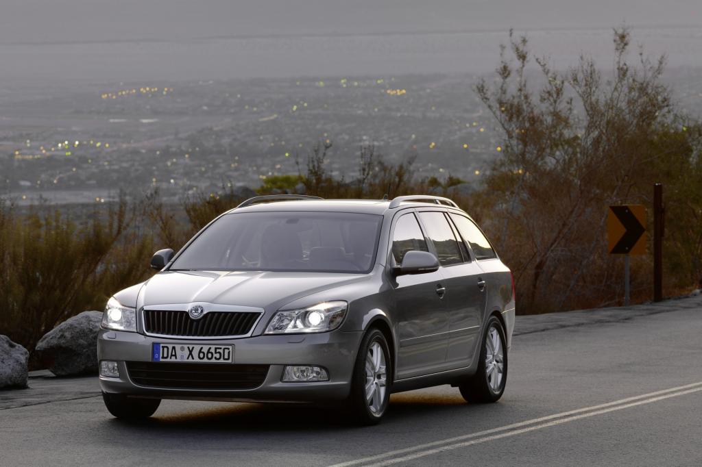 Der Skoda Octavia Combi bietet viel Platz