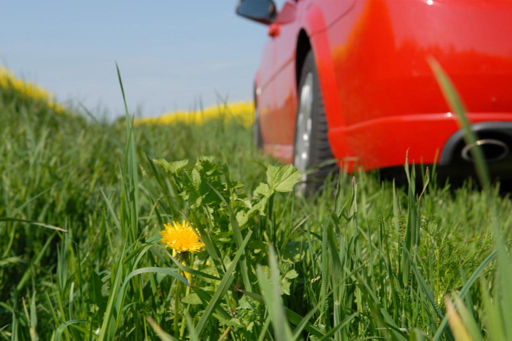 VCD fordert noch weniger Kohlendioxid
