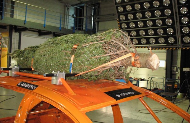 Weihnachtsbaum-Transport - Gut gesichert Richtung Wohnzimmer