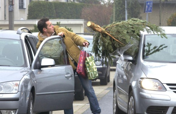 Weihnachtsbaum-Transport - Gut gesichert zum Fest