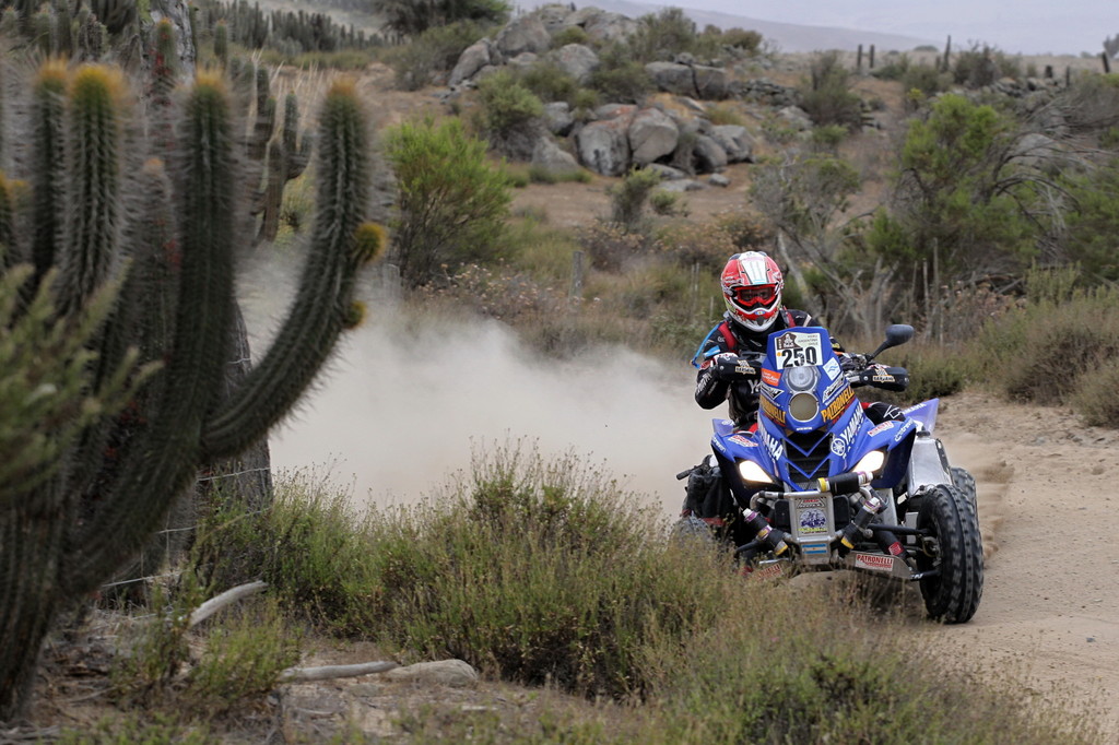 Dakar 2013: Peterhansel und Despres triumphieren