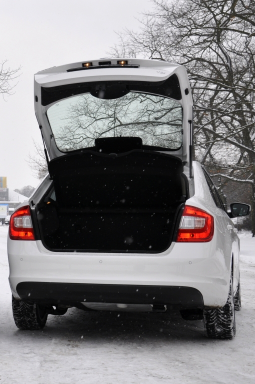 Skoda Rapid: Das Auto pur