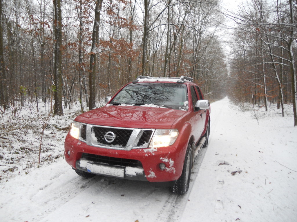 Fahrbericht Nissan Navara 3.0 dCi: Multitalent