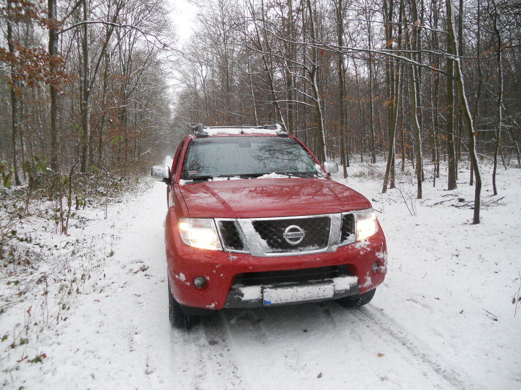 Fahrbericht Nissan Navara 3.0 dCi: Multitalent