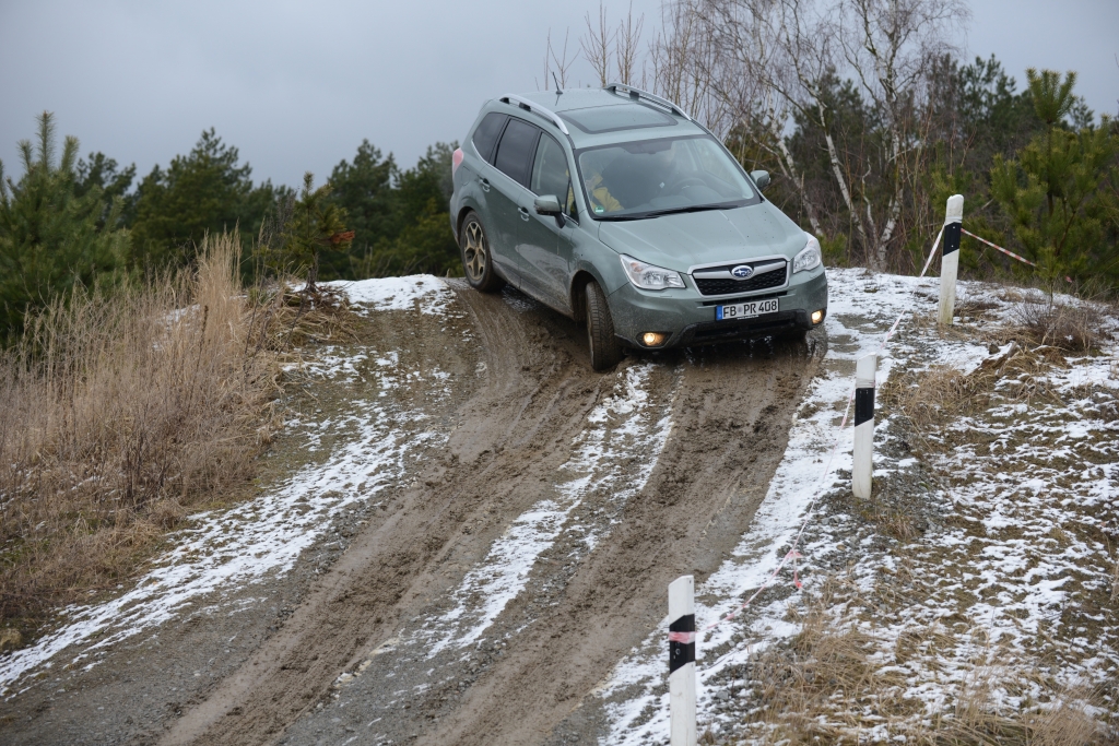 Neuvorstellung Subaru Forester - Ein Förster für alle Fälle
