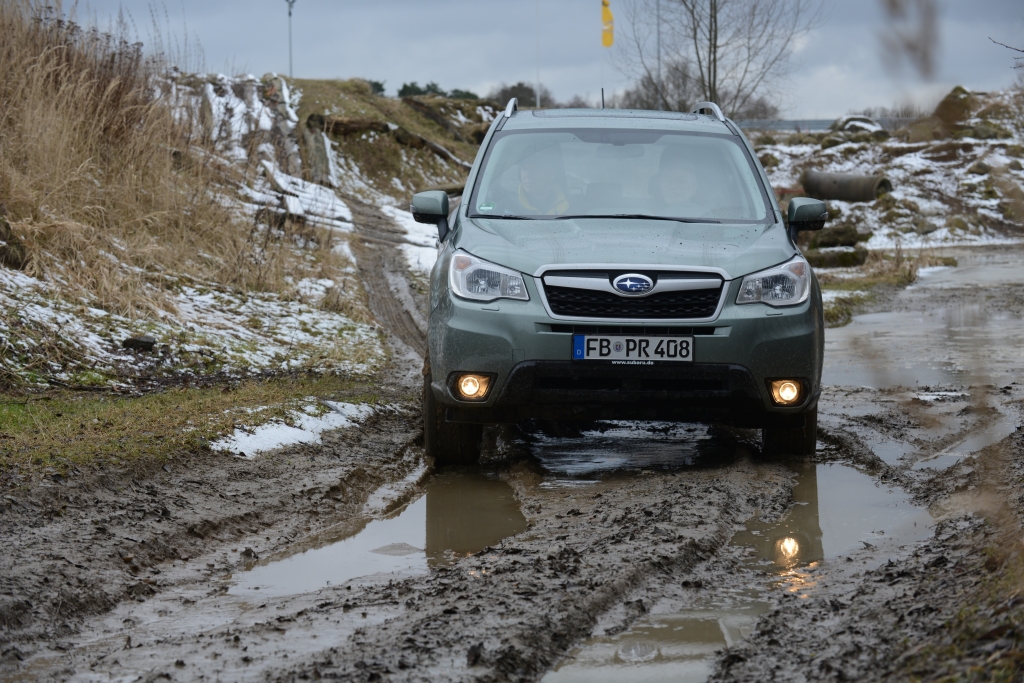 Neuvorstellung Subaru Forester - Ein Förster für alle Fälle