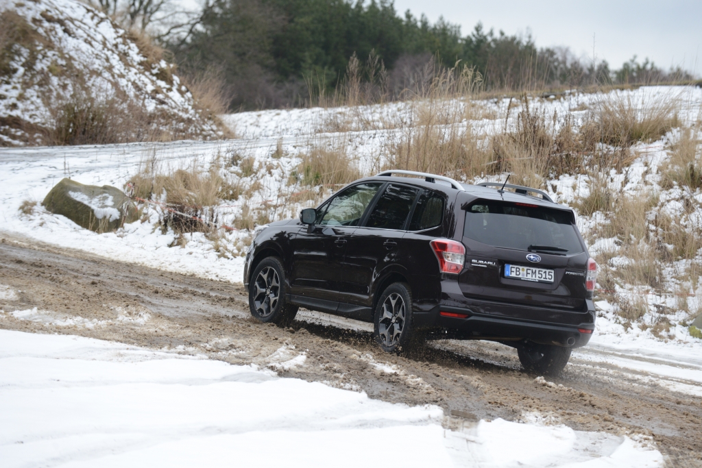 Neuvorstellung Subaru Forester - Ein Förster für alle Fälle