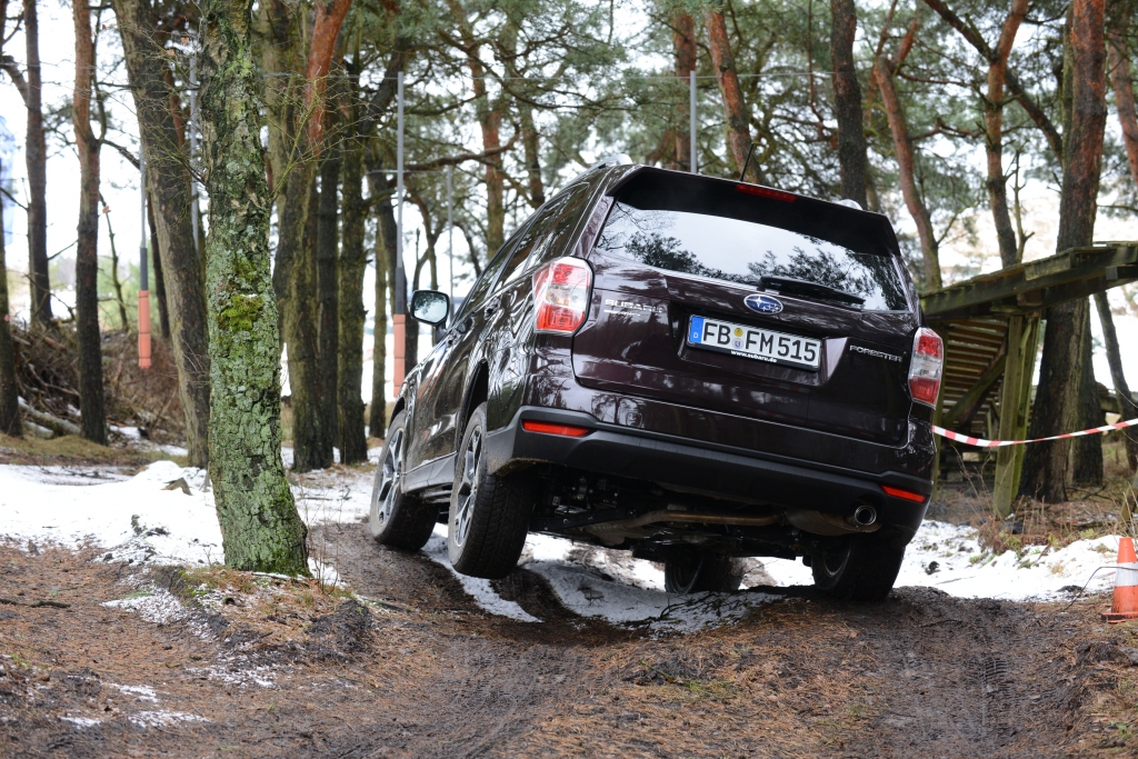 Neuvorstellung Subaru Forester - Ein Förster für alle Fälle