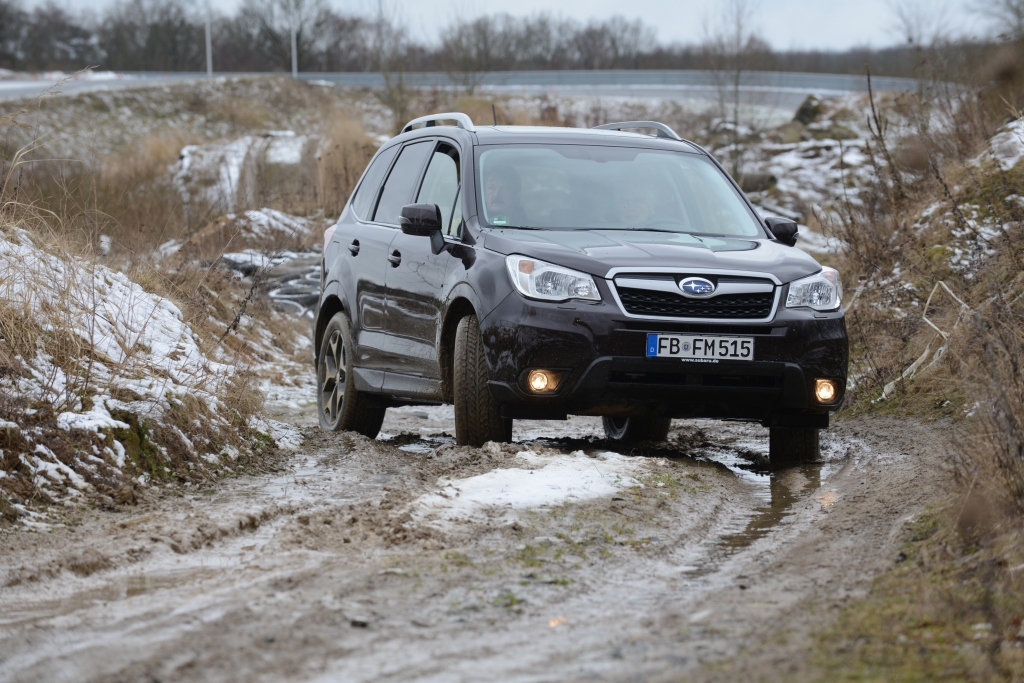 Neuvorstellung Subaru Forester - Ein Förster für alle Fälle