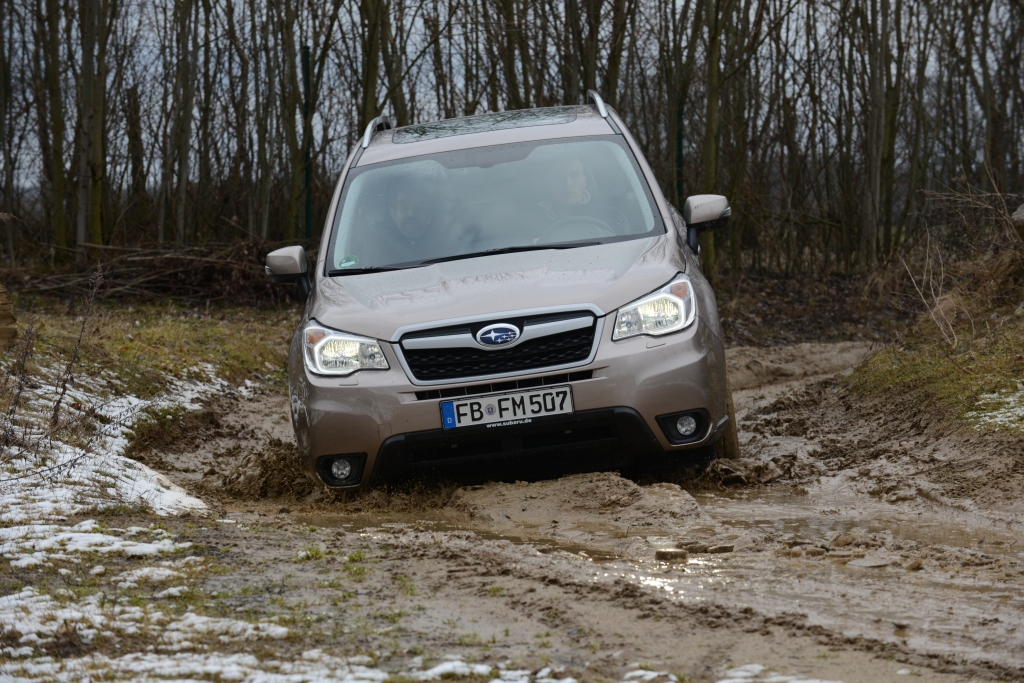 Neuvorstellung Subaru Forester - Ein Förster für alle Fälle