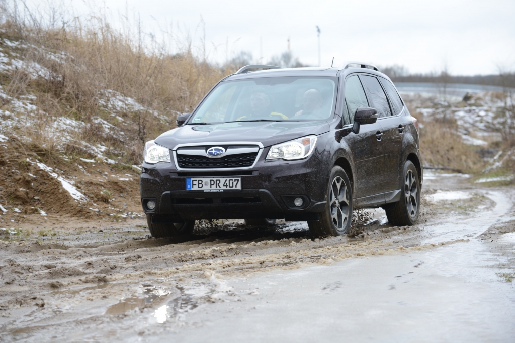 Neuvorstellung Subaru Forester - Ein Förster für alle Fälle