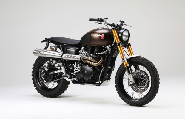Triumph startet ins Frühjahr
