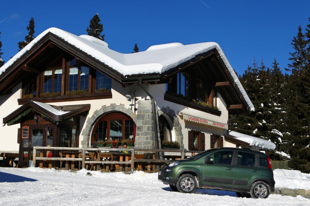 Eines Bären Gespür für Schnee