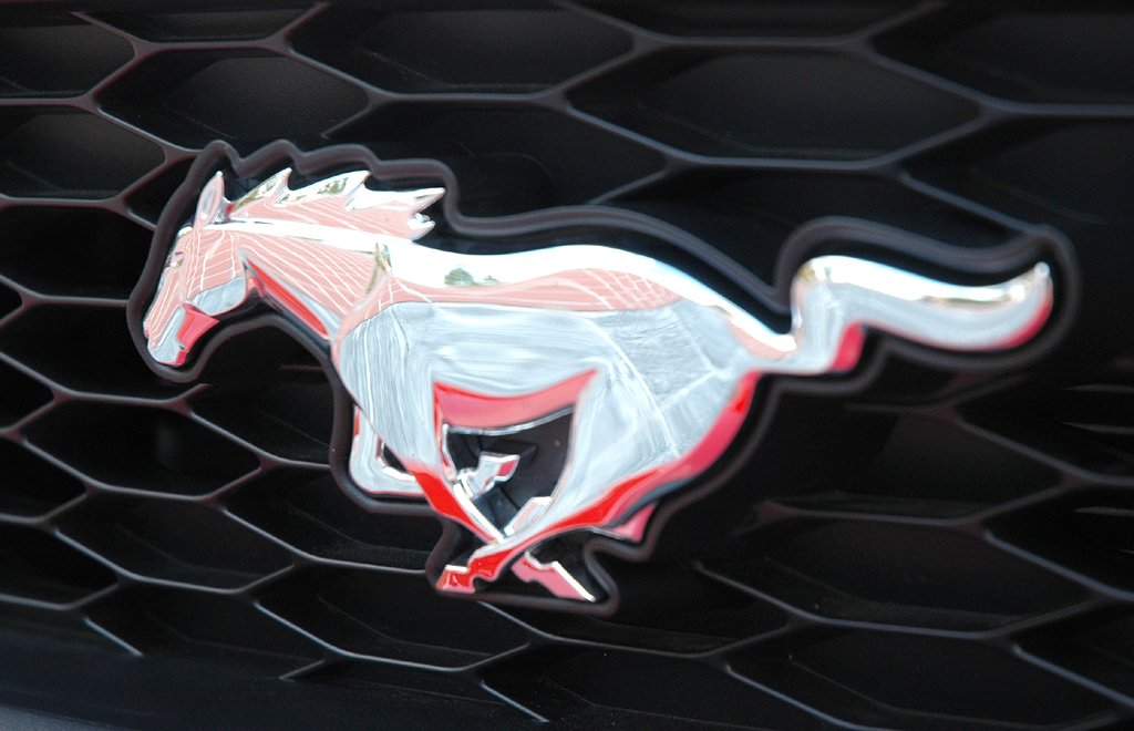 Ford Mustang: Das Markenlogo, ein galoppierender Mustang, sitzt vorn im Kühlergrill. 