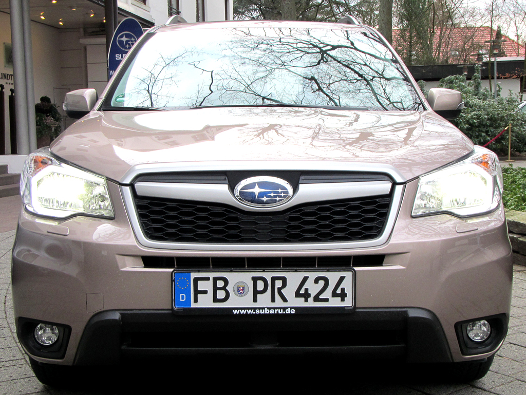Subaru Forester: Blick auf die Frontpartie. 