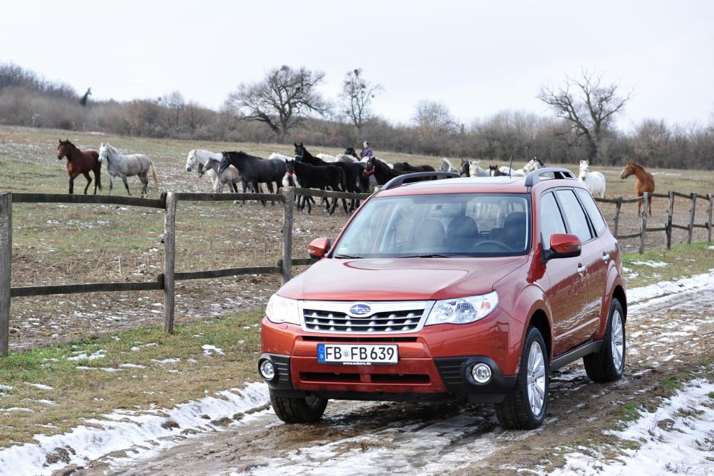 Subaru Forester: Vom Allrad-Kombi zum SUV
