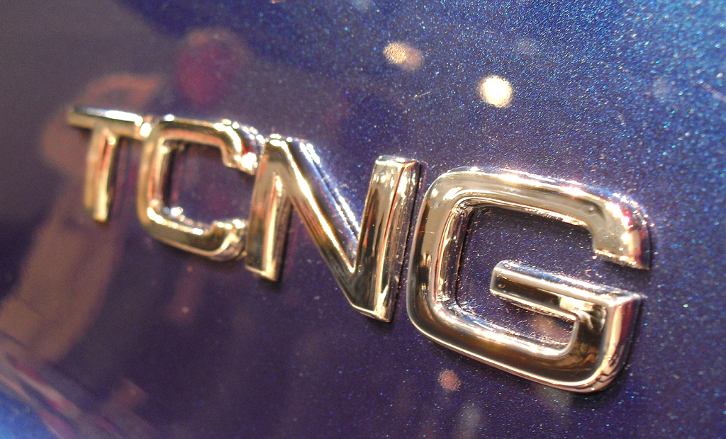 Die Abkürzung TCNG steht für Turbo und Erdgas, englisch Compressed Natural Gas. 