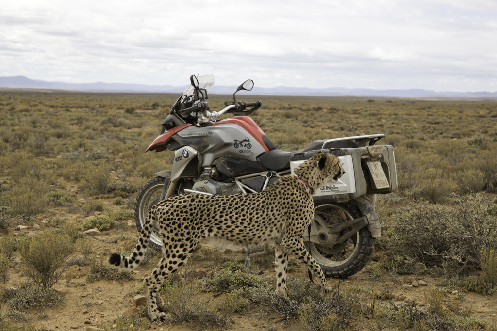 Entdeckungsreise mit BMW R 1200 GS geht zu Ende