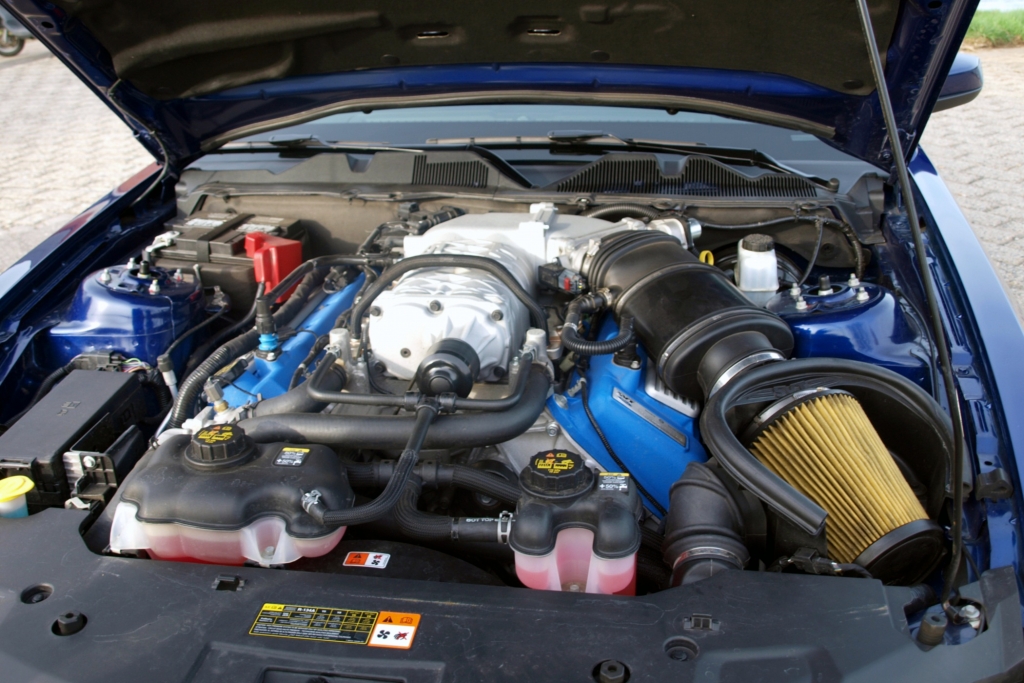 Ford Mustang Shelby GT500 - Ganz bestimmt kein Ponyreiten