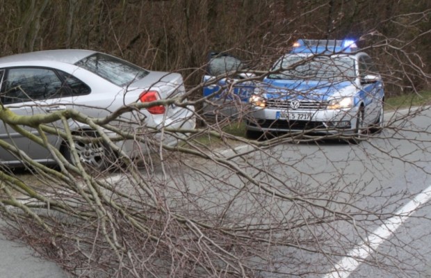 Maibaum-Transport im Auto - Mit Sicherheit zum Liebesbeweis