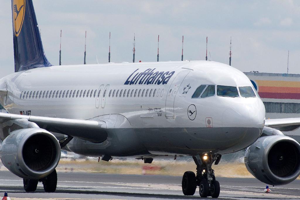 Flugzeug-Technik - Bio-Kerosin aus Algen