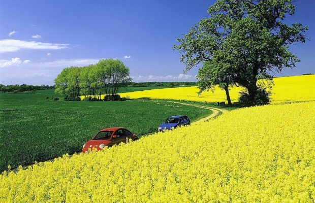 EU-Ausschuss: Kein Biosprit aus Nahrungsmitteln