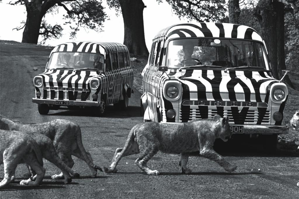 Ford Transit 1965