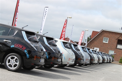 Jedes zweite Elektroauto ist ein Nissan Leaf