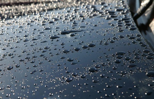 Lack: Kein Lotus-Effekt gegen Vogelkot und Insekten