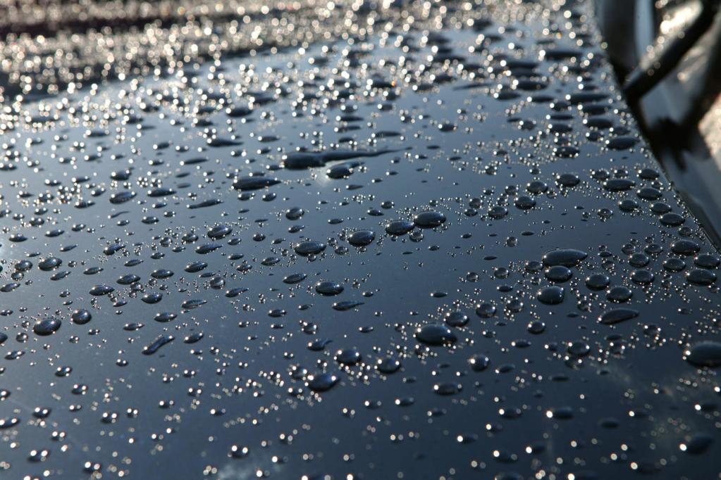 Lack: Kein Lotus-Effekt gegen Vogelkot und Insekten