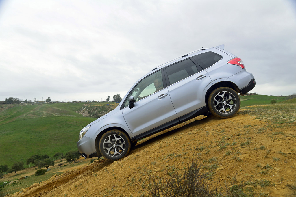 Fahrbericht Subaru Forester 2.0 X Platinum: Bodenständig