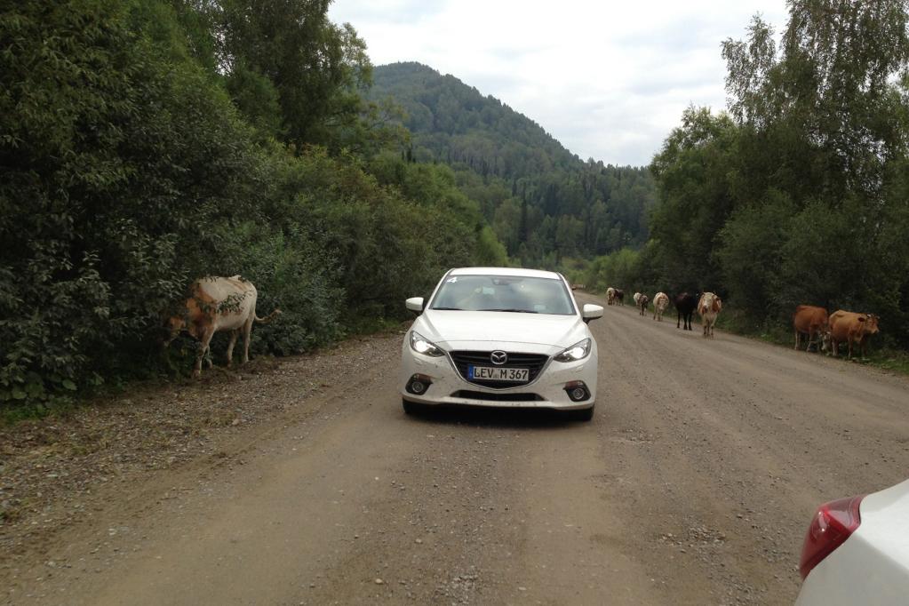 Im Mazda 3 durch Sibirien: Das gefühlte Ende der Welt