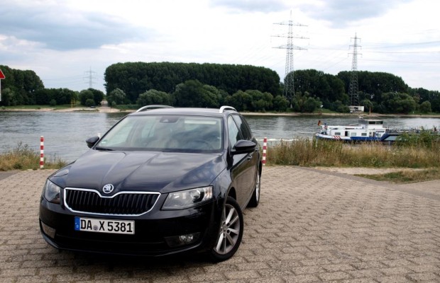 Skoda Octavia Combi - Nach oben geschaut