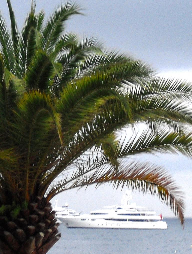 Pass für Pass ans Mittelmeer: Palmen und Jachten in Monte Carlo.