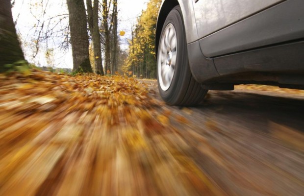 Ratgeber: Autofahren im Herbst - Sicher durch Laub, Matsch und Nebel