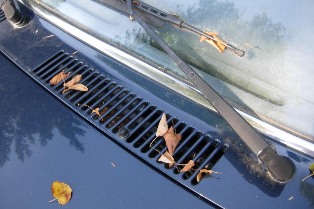 Ratgeber: Autopflege im Herbst - Wenn Laub dem Fahrzeug zusetzt