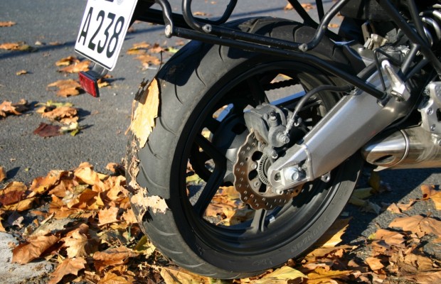 Ratgeber: Mit dem Motorrad durch den Herbst