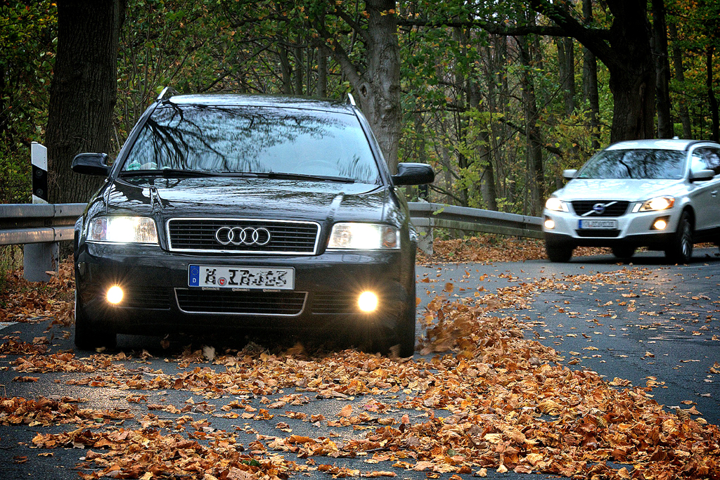 Schon im Herbst bei Laub auf den Straßen kann es rutschig werden. 