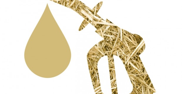 Stroh wird zu flüssigem Gold - Biokraftstoff ohne Reue © Clariant