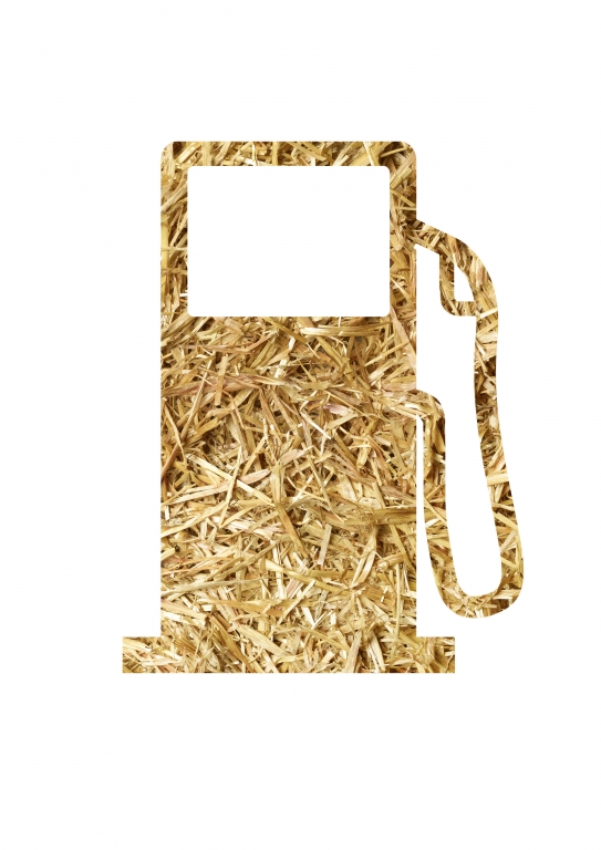 Stroh wird zu flüssigem Gold - Biokraftstoff ohne Reue © Clariant