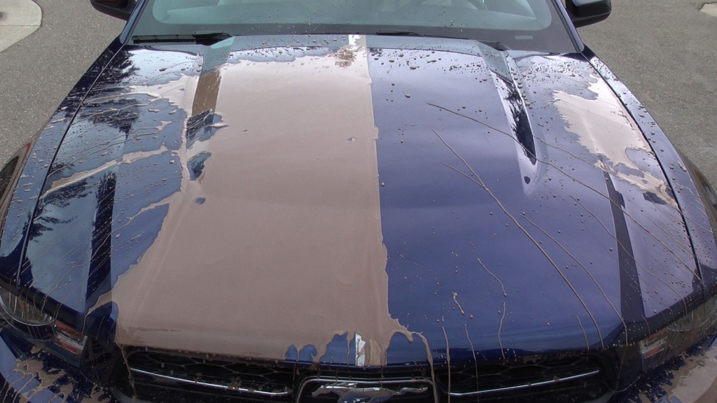 auto.de-Gewinnspiel: Wellness-Programm fürs Auto – Armor All Shield Sets