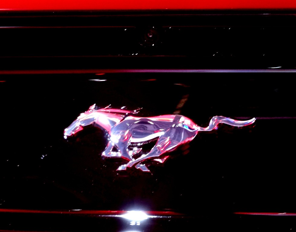 Exklusiv: Ford Mustang – vom Wildpferd zum Vollblüter