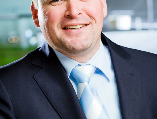 Viveen PSA-Leiter Teile und Service